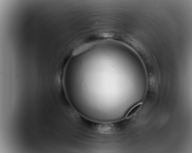 X0000088840373200706141543