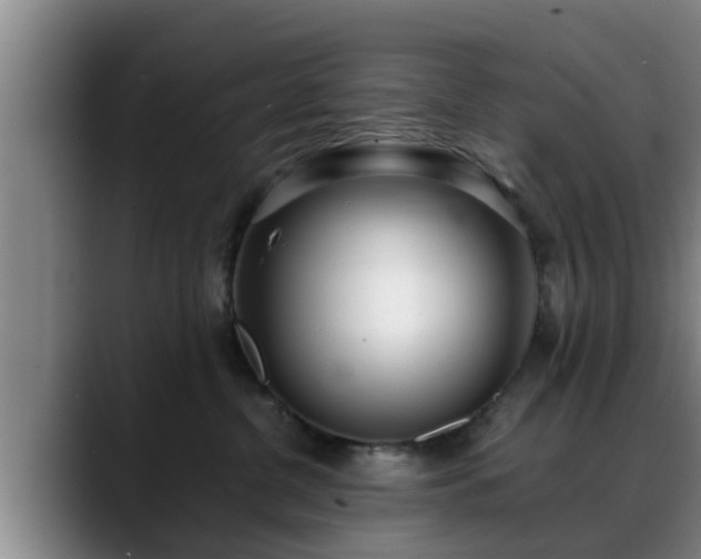 X0000088840380200706141543