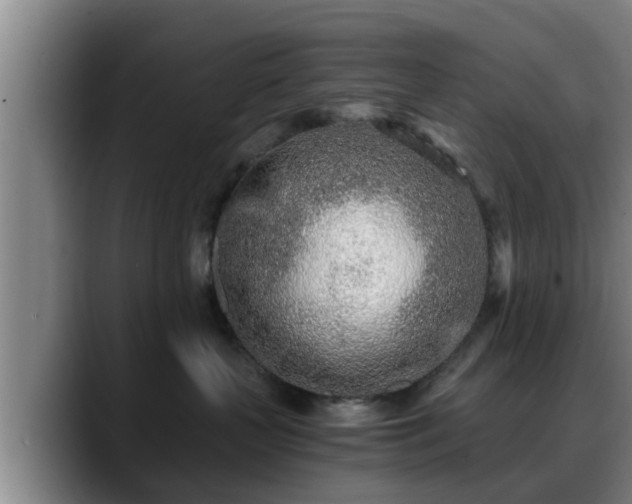 X0000088840383200706141543