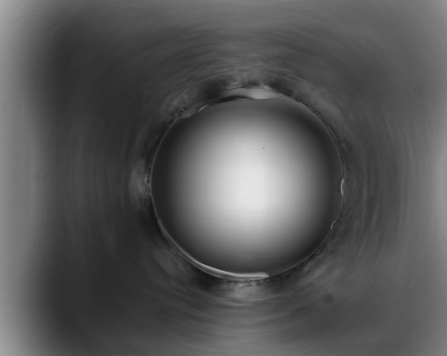 X0000088840384200706141543