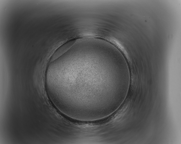 X0000088840385200706141542