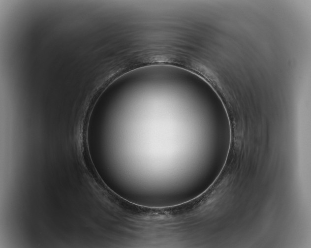 X0000088840386200706141542