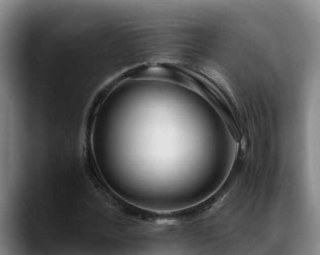 X0000088840388200706141542