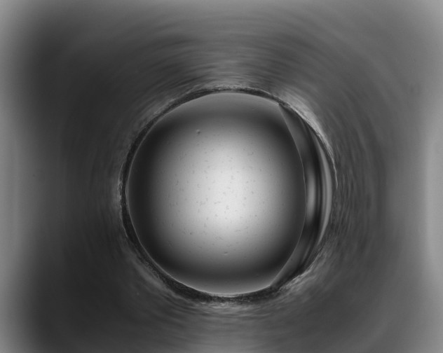 X0000088840389200706141542