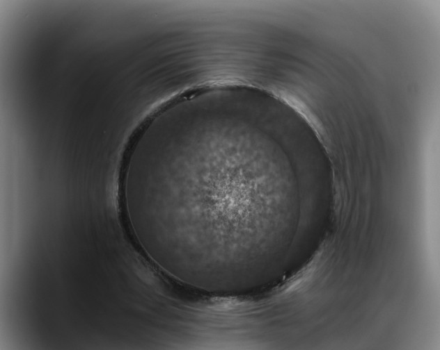 X0000088840391200706141542