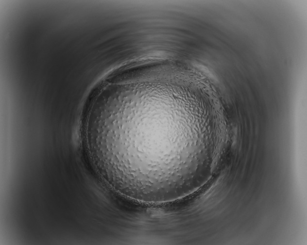 X0000088840392200706141542