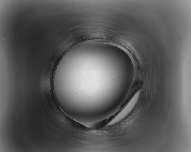 X0000088840393200706141542