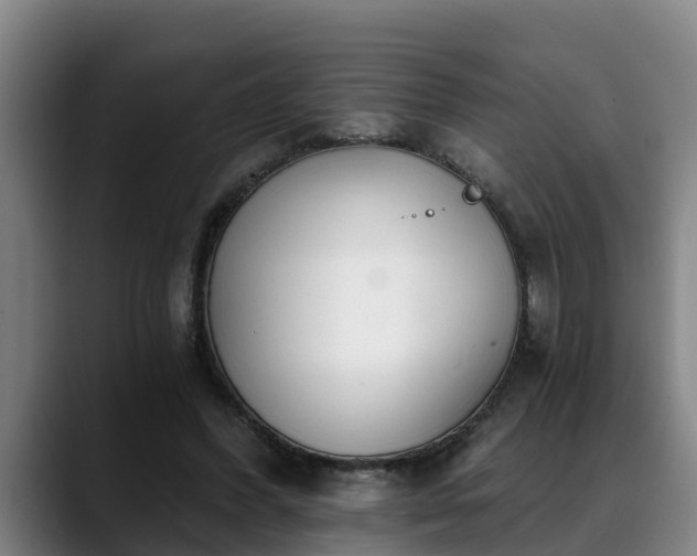 X0000088840396200706141542