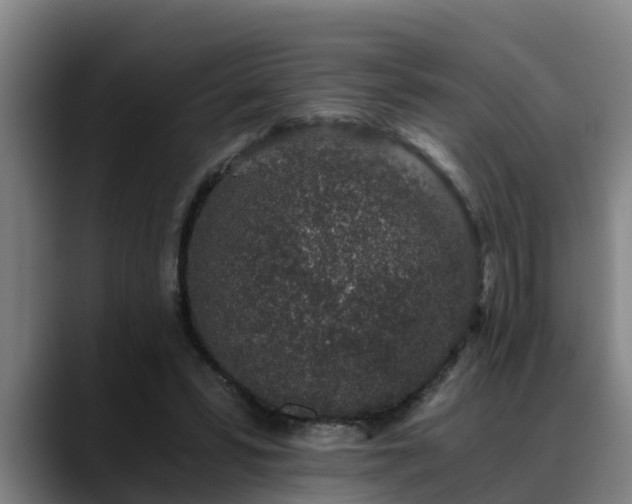 X0000088840399200706141542