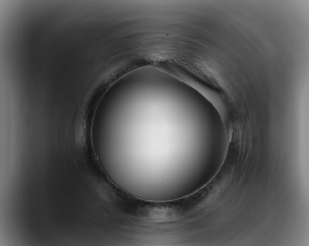 X0000088840400200706141542