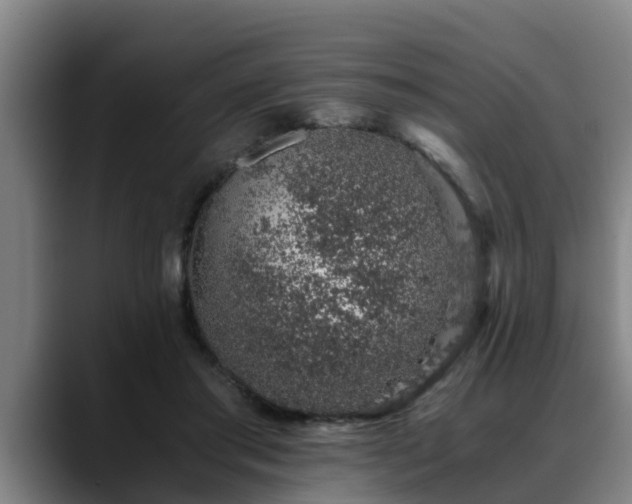 X0000088840405200706141542