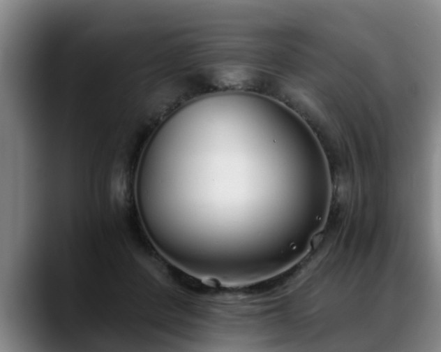 X0000088840408200706141542