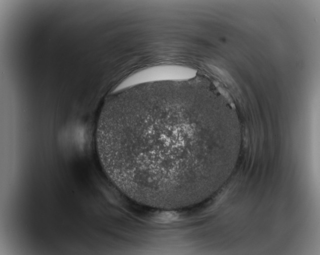 X0000088840409200706141542