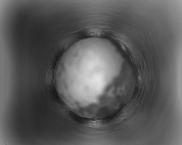 X0000088840411200706141542