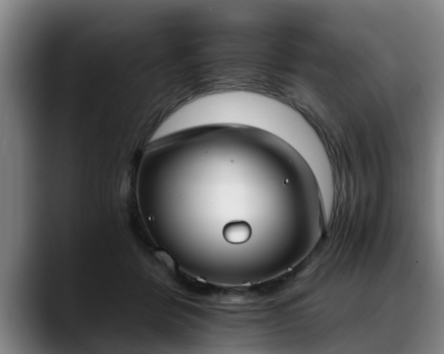 X0000088840412200706141542