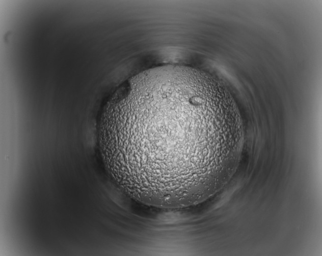 X0000088840413200706141542