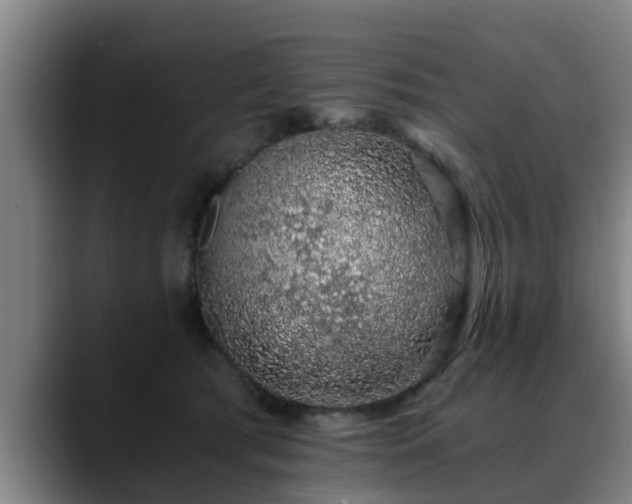 X0000088840417200706141542