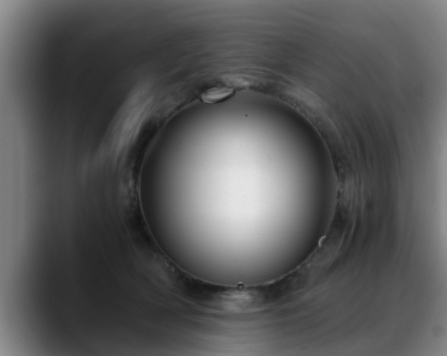 X0000088840418200706141542