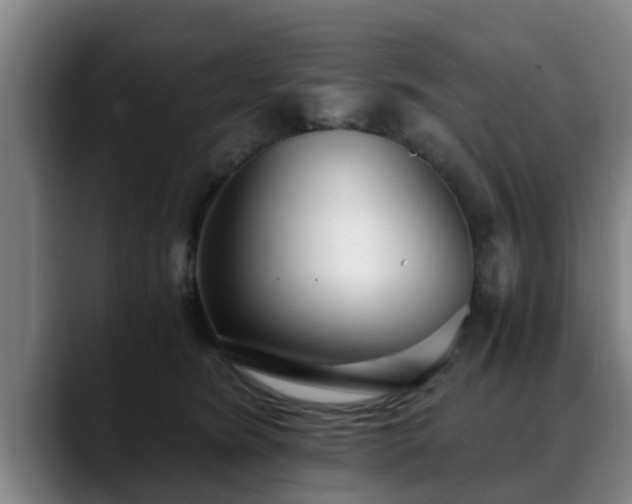 X0000088840420200706141542