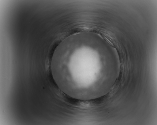 X0000088840423200706141542