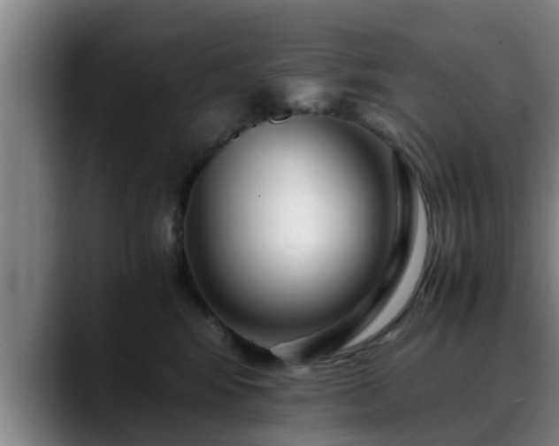 X0000088840424200706141542