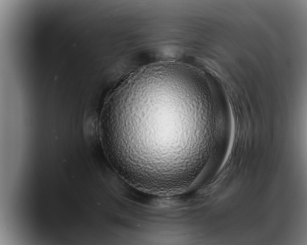 X0000088840425200706141542