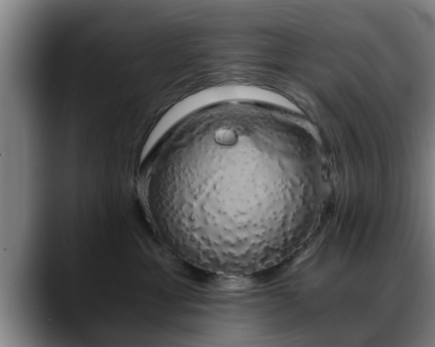 X0000088840429200706141542