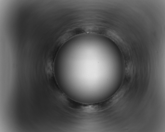 X0000088840430200706141542