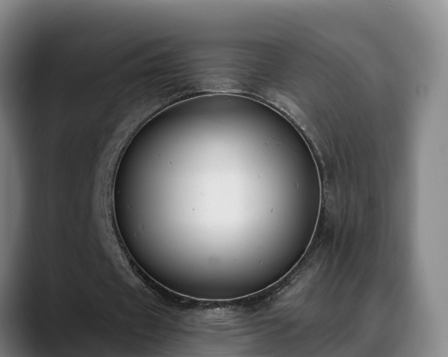 X0000088840433200706141541