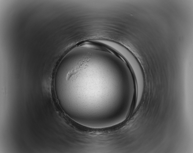 X0000088840434200706141541