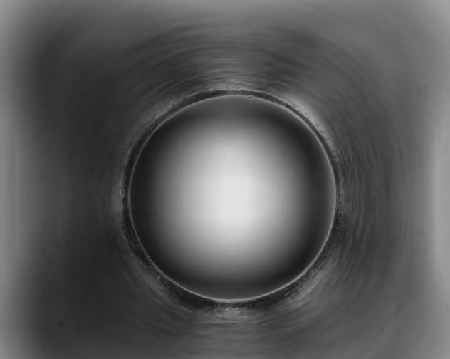 X0000088840437200706141541