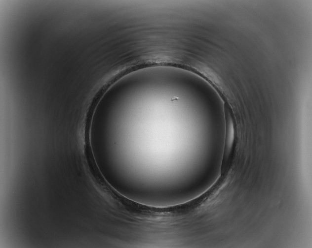 X0000088840438200706141541