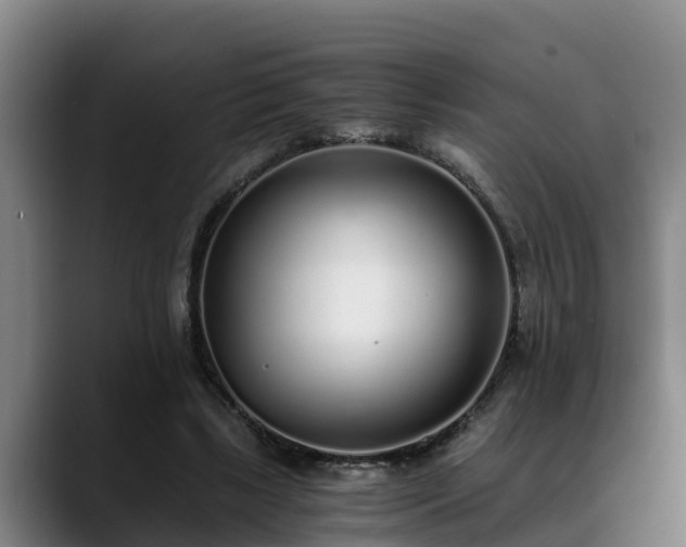 X0000088840443200706141541