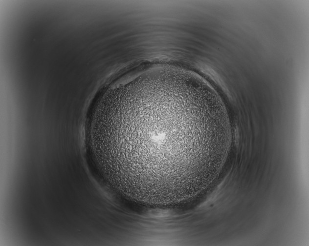 X0000088840444200706141541