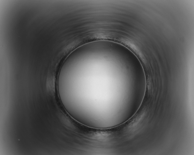 X0000088840445200706141541