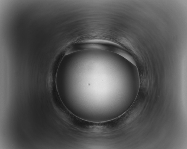 X0000088840448200706141541