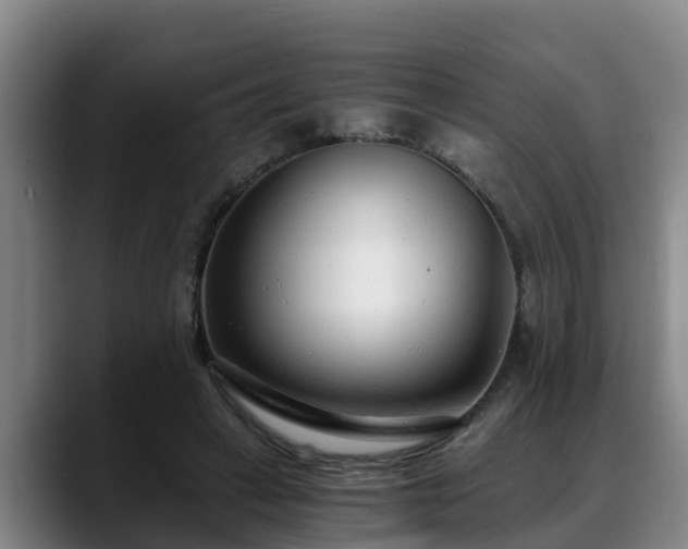 X0000088840449200706141541