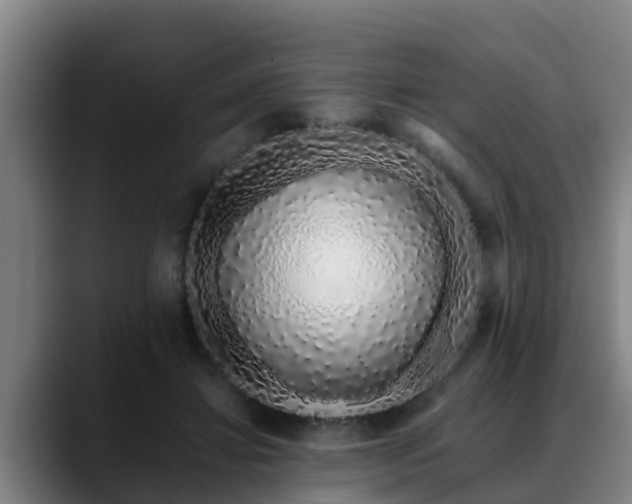 X0000088840452200706141541