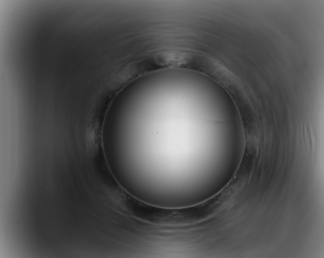 X0000088840460200706141542