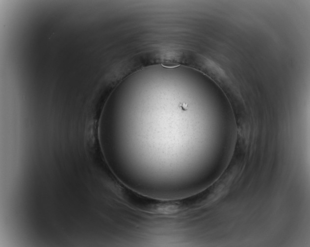 X0000088840462200706141542