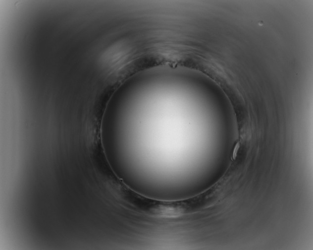 X0000088840464200706141542