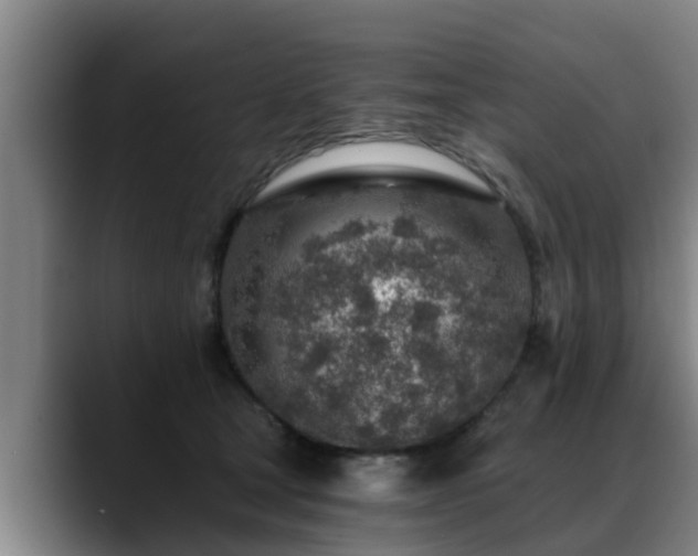 X0000088840465200706141542