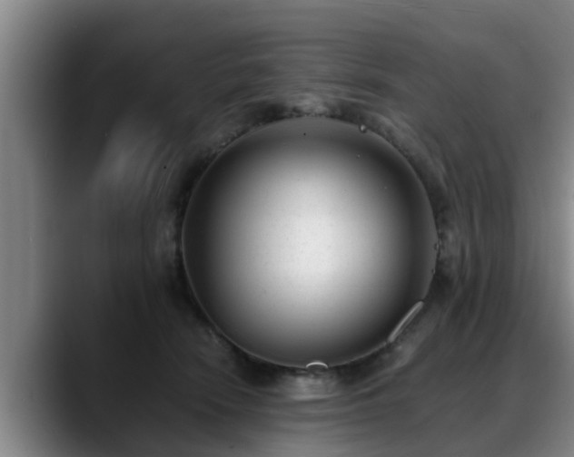 X0000088840466200706141542