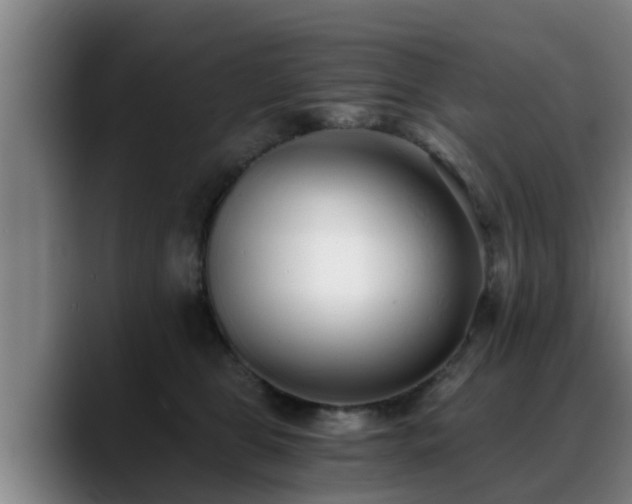 X0000088840469200706141542