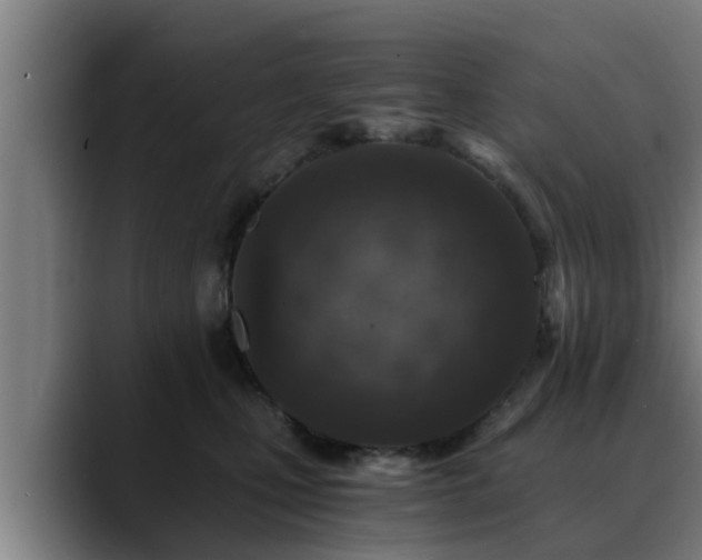 X0000088840471200706141542