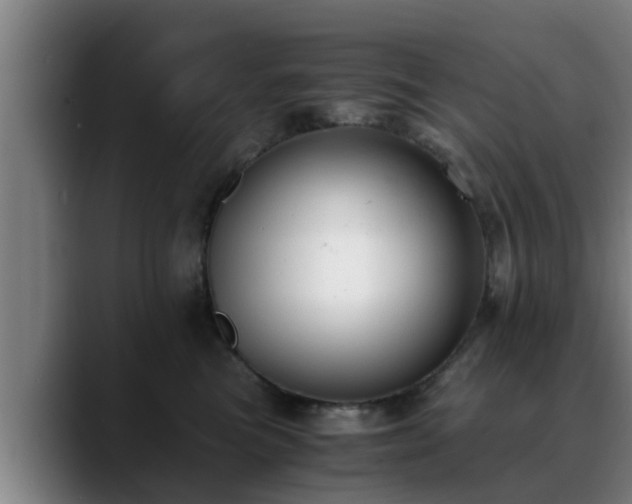 X0000088840473200706141542