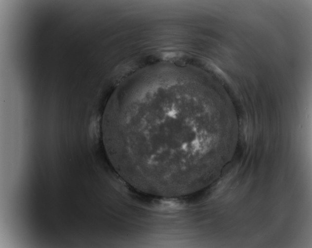 X0000088840475200706141542