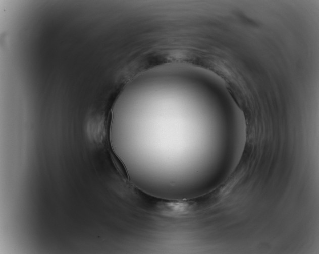 X0000088840478200706141542