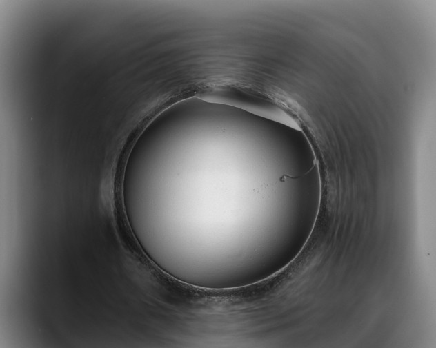 X0000088840482200706141541