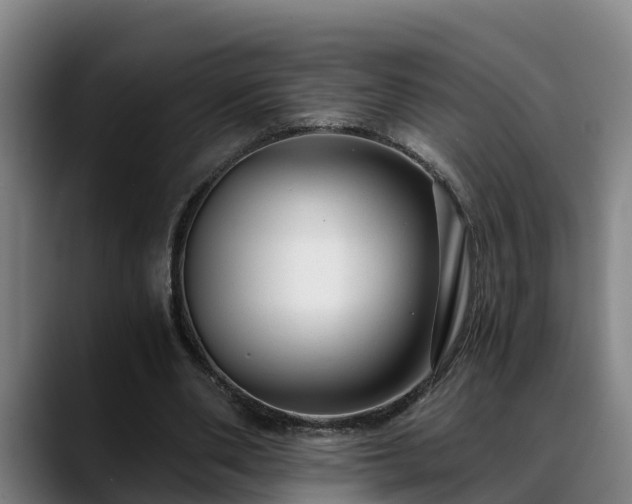 X0000088840486200706141541